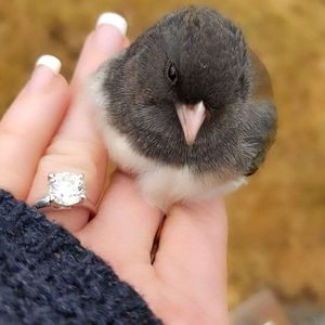 Meet your Posher, Lora